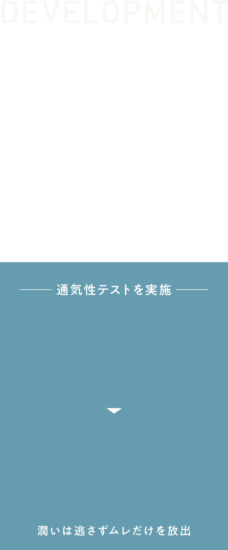 DEVELOPMENT
